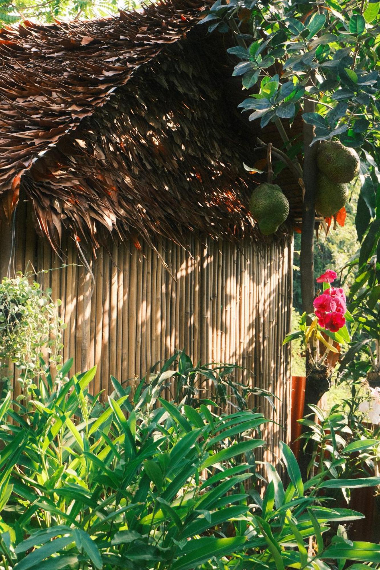 Siem Reap Homesteading II Buitenkant foto